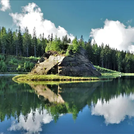 Naturforsthaus Gartenblick Fuer Hunde - Und Naturverbundene Menschen לינה וארוחת בוקר 3*