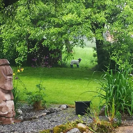 ベッド・アンド・ブレックファスト Naturforsthaus Gartenblick Fuer Hunde - Und Naturverbundene Menschen