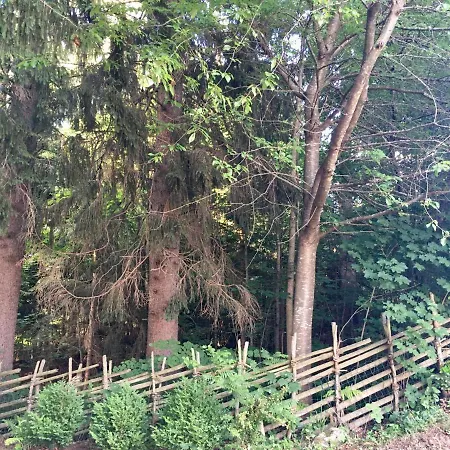 Naturforsthaus Gartenblick Fuer Hunde - Und Naturverbundene Menschen ベッド・アンド・ブレックファスト