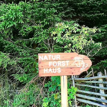 Naturforsthaus Gartenblick Fuer Hunde - Und Naturverbundene Menschen