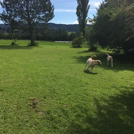 Naturforsthaus Gartenblick Fuer Hunde - Und Naturverbundene Menschen 3* Preitenegg