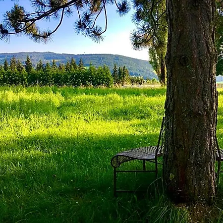 Naturforsthaus Gartenblick Fuer Hunde - Und Naturverbundene Menschen