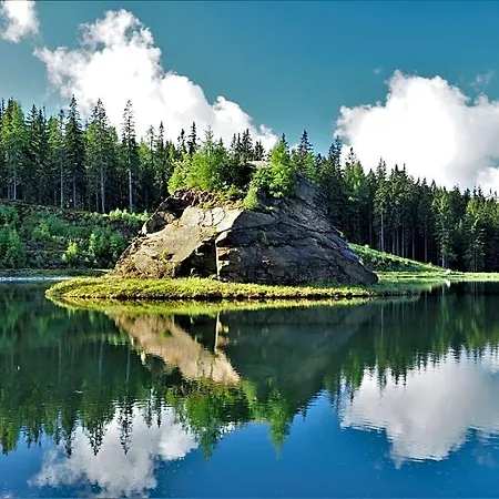 Naturforsthaus Gartenblick Fuer Hunde - Und Naturverbundene Menschen Preitenegg