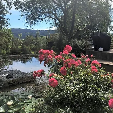 Naturforsthaus Gartenblick Fuer Hunde - Und Naturverbundene Menschen Preitenegg
