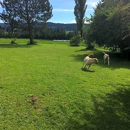Naturforsthaus Gartenblick Fuer Hunde - Und Naturverbundene Menschen Preitenegg