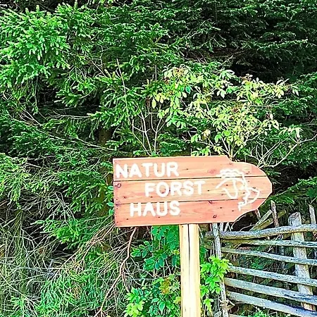 Naturforsthaus Gartenblick Fuer Hunde - Und Naturverbundene Menschen