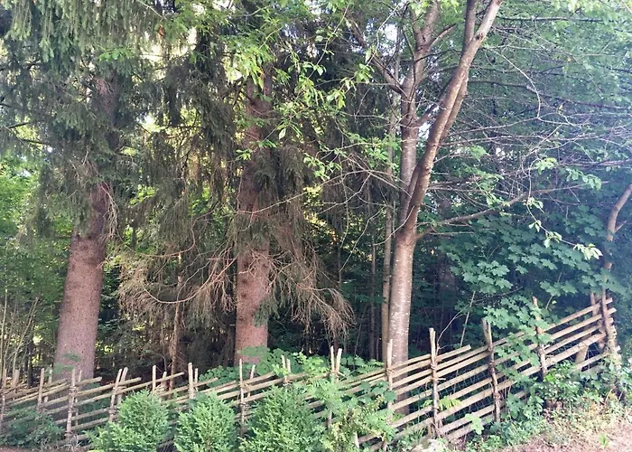 Naturforsthaus Gartenblick Fuer Hunde - Und Naturverbundene Menschen Bed & Breakfast