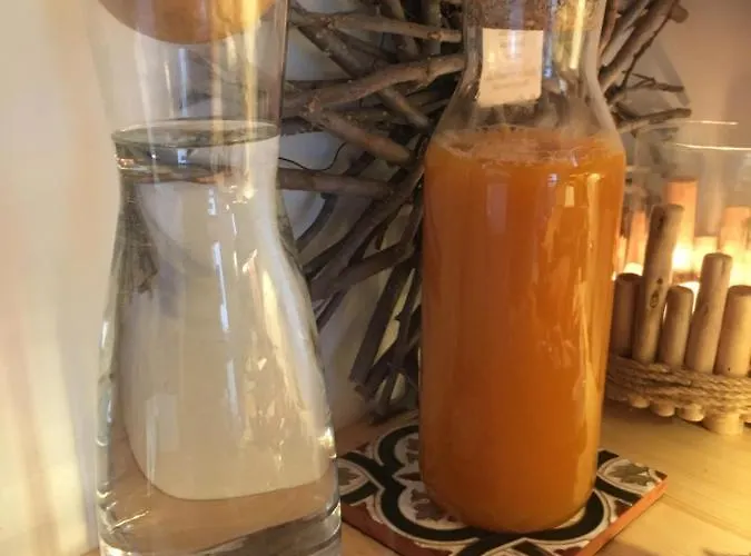 Naturforsthaus Gartenblick Fuer Hunde - Und Naturverbundene Menschen Отель типа 