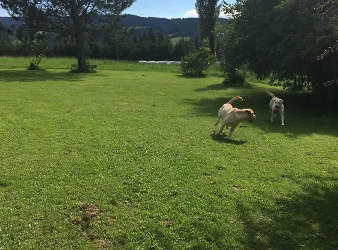 Naturforsthaus Gartenblick Fuer Hunde - Und Naturverbundene Menschen 3* Preitenegg