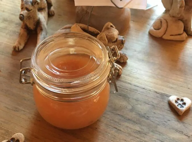 Bed & Breakfast Naturforsthaus Gartenblick Fuer Hunde - Und Naturverbundene Menschen 3*